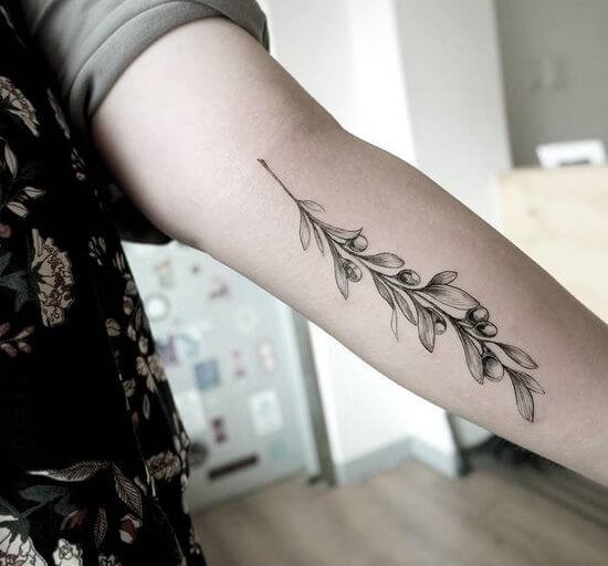 Olive Branches