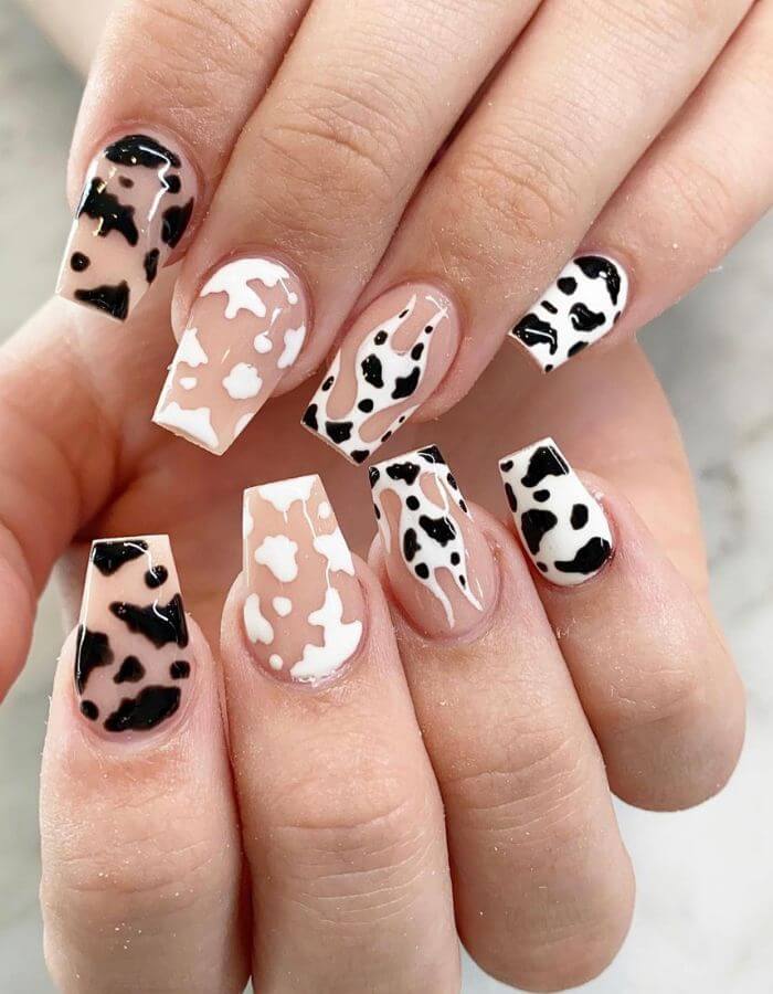 Three cow print acrylic nails
