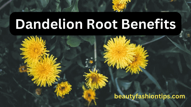 Dandelion Root Benefits